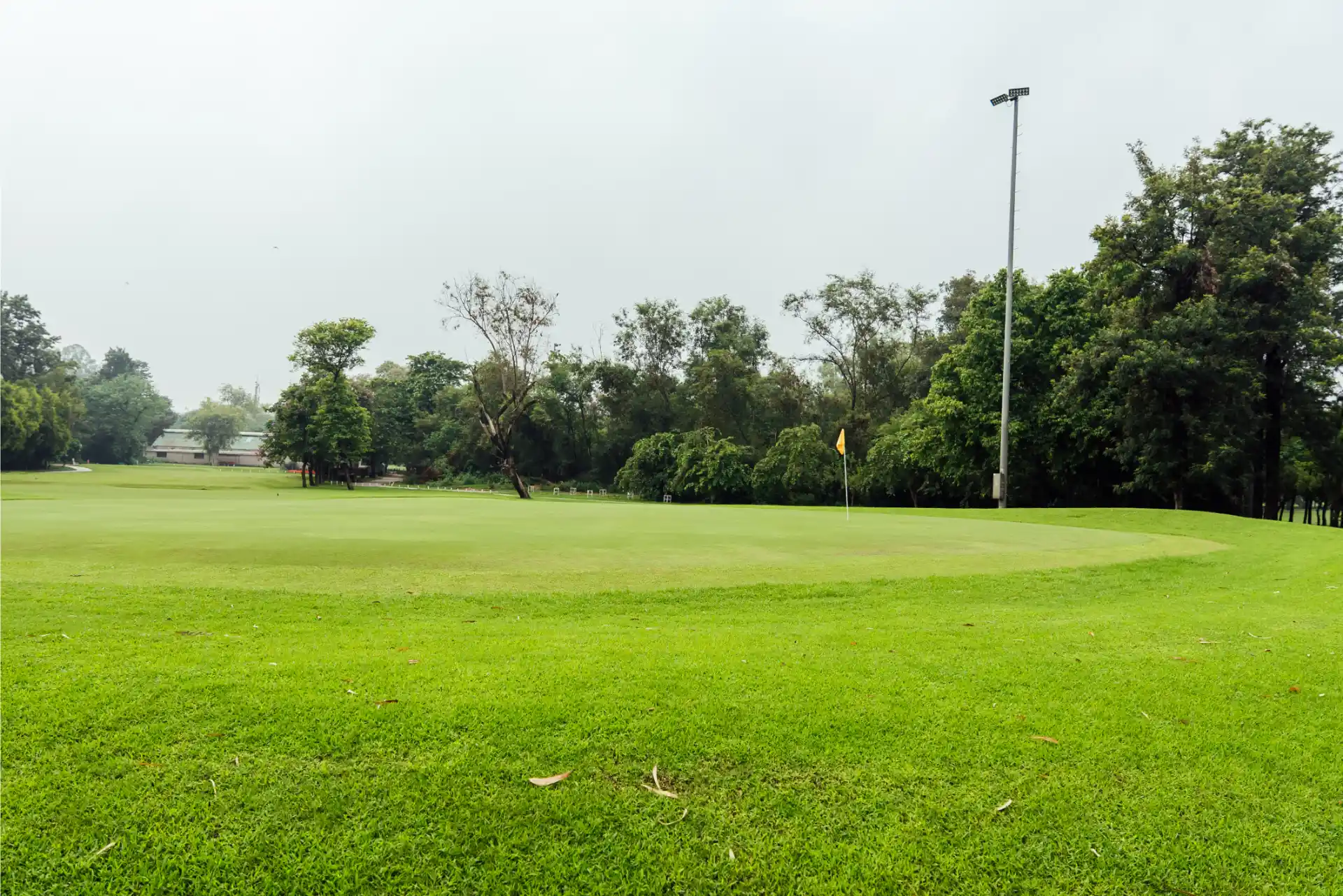 Hole 11