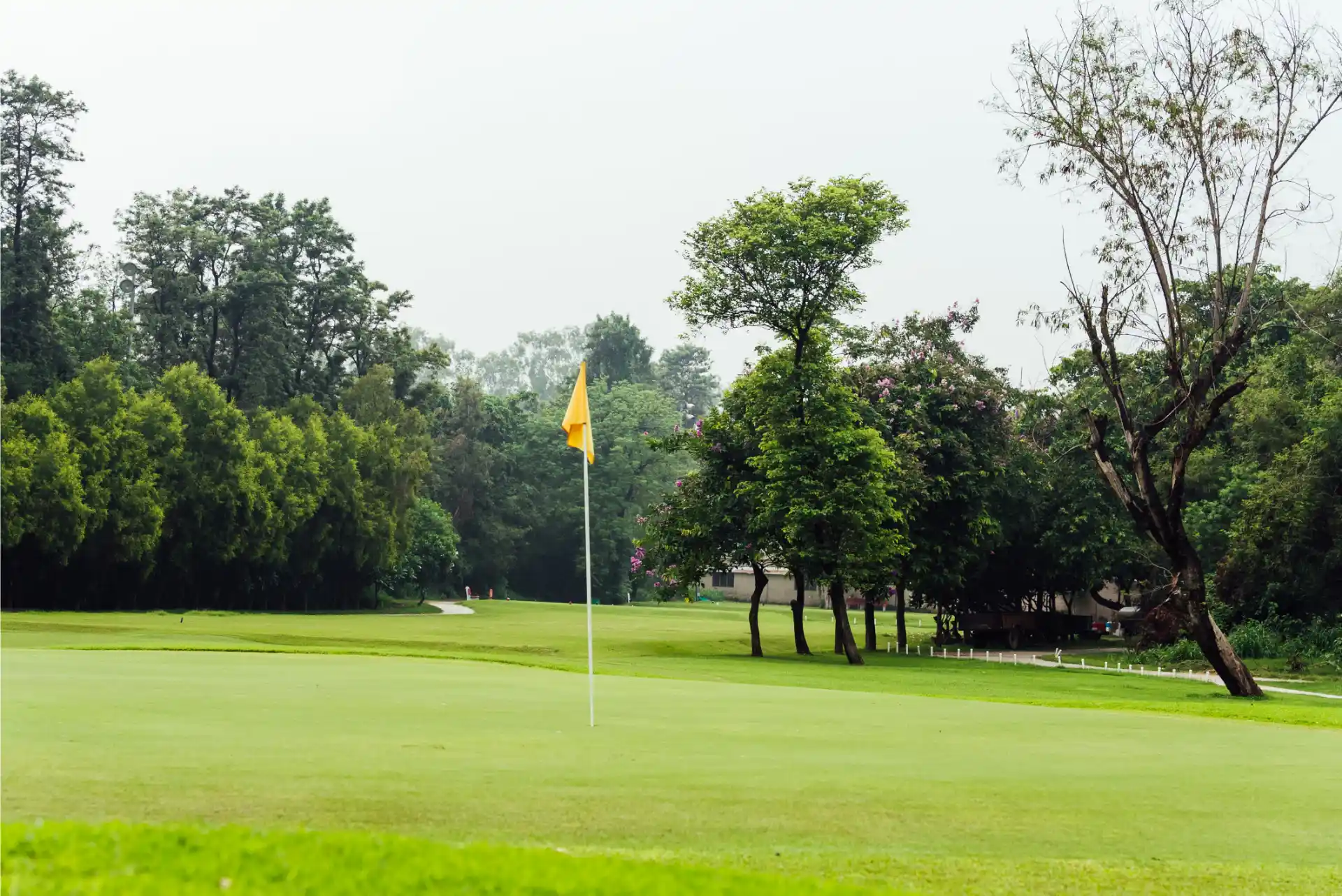 Hole 11