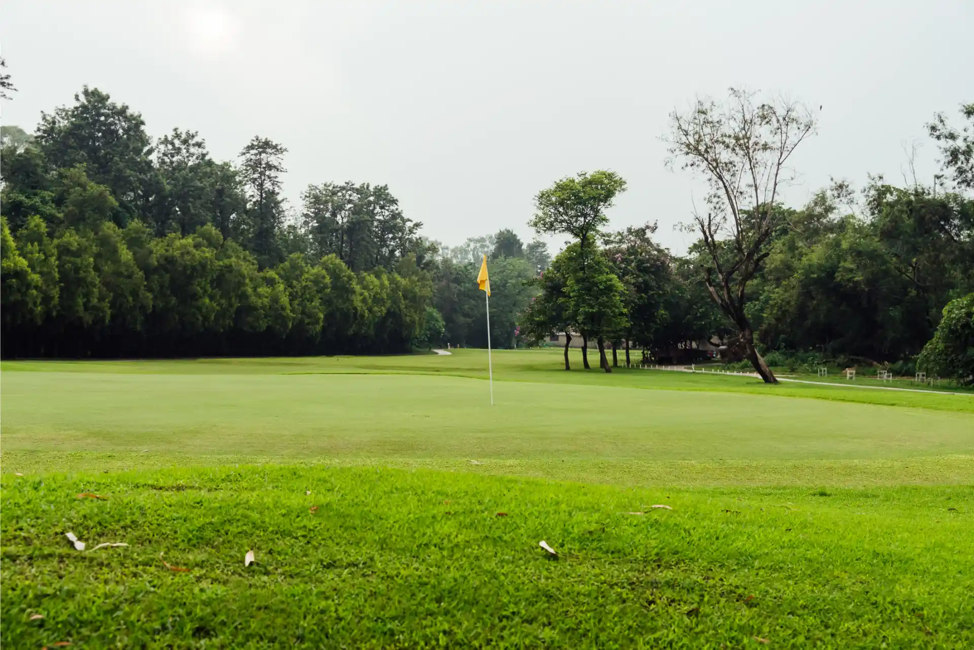 Hole 11
