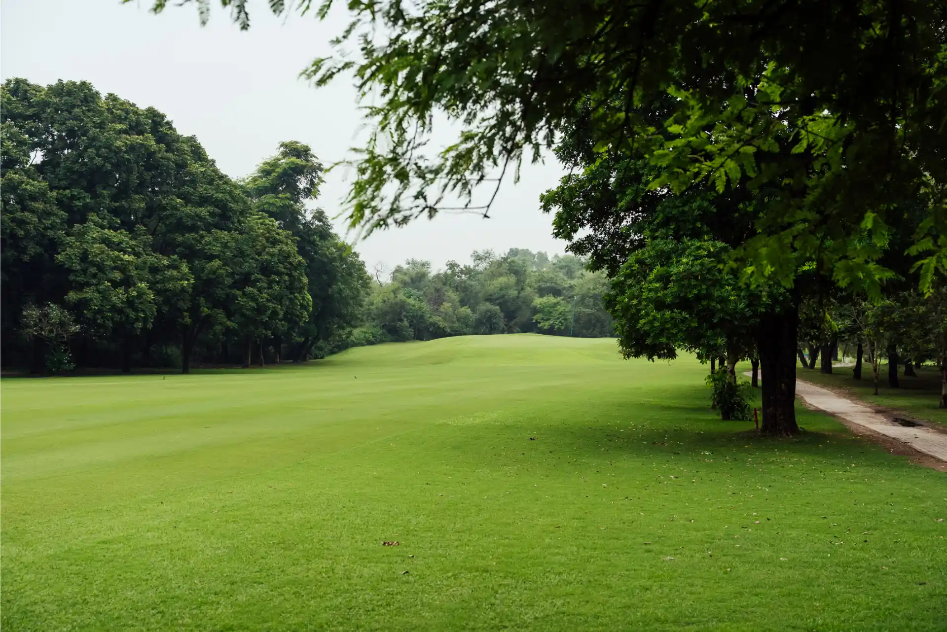 Hole 12