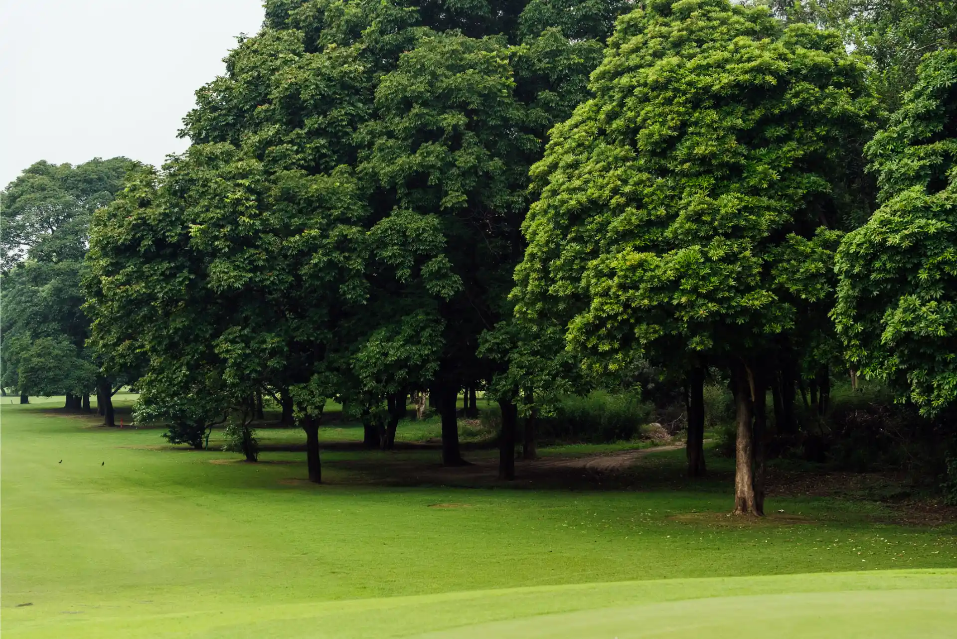 Hole 12