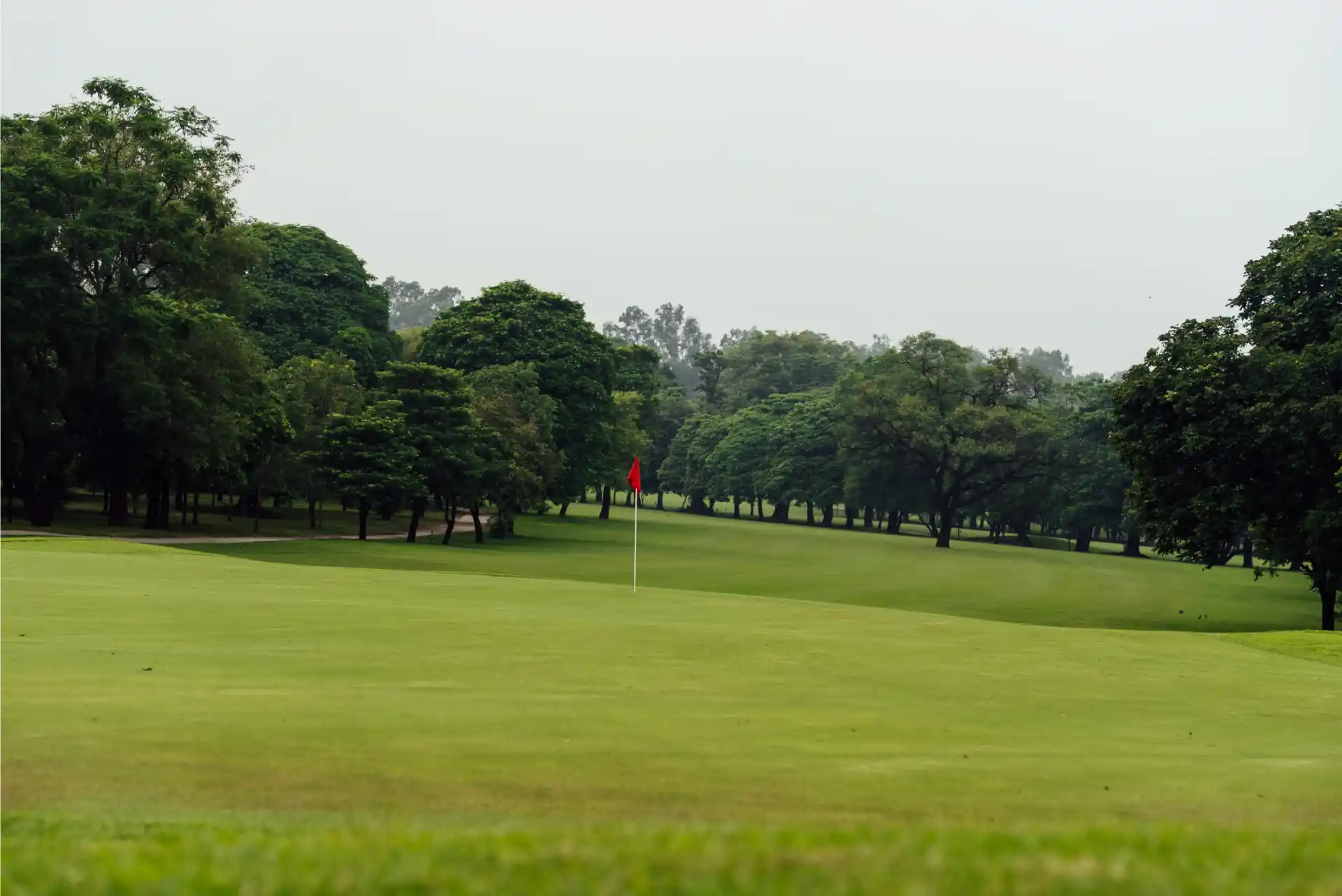 Hole 12
