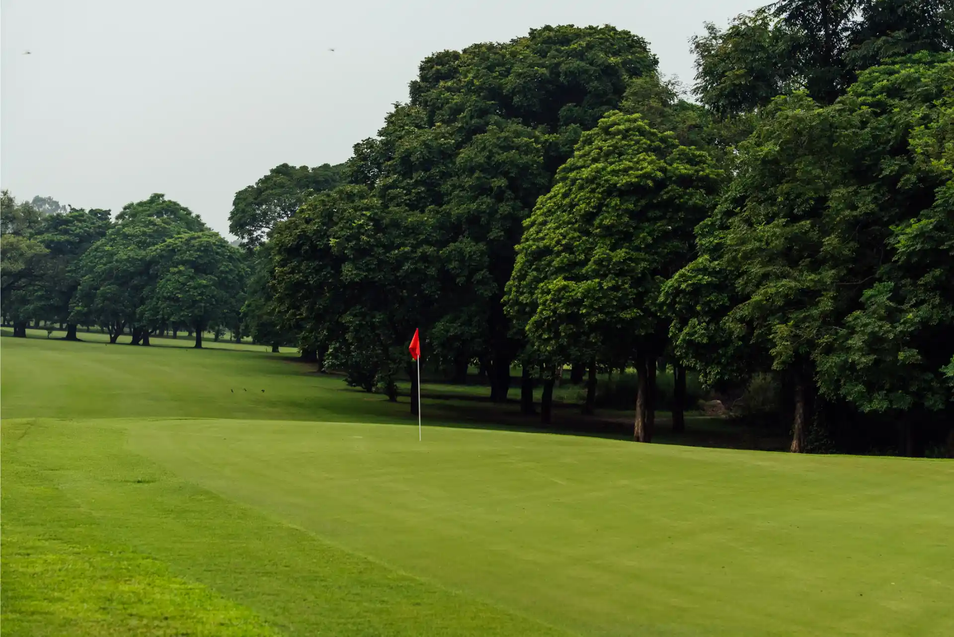 Hole 12