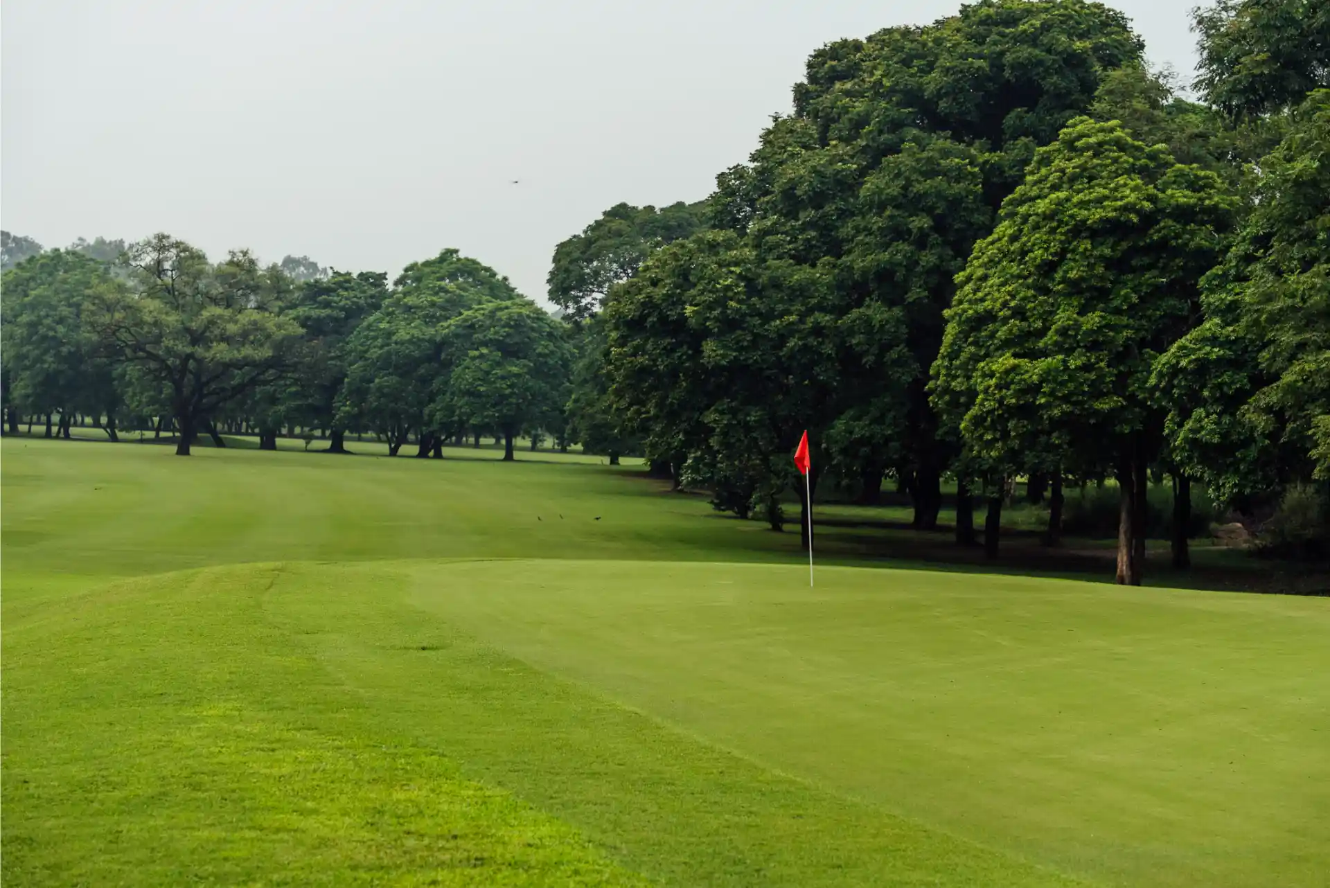 Hole 12