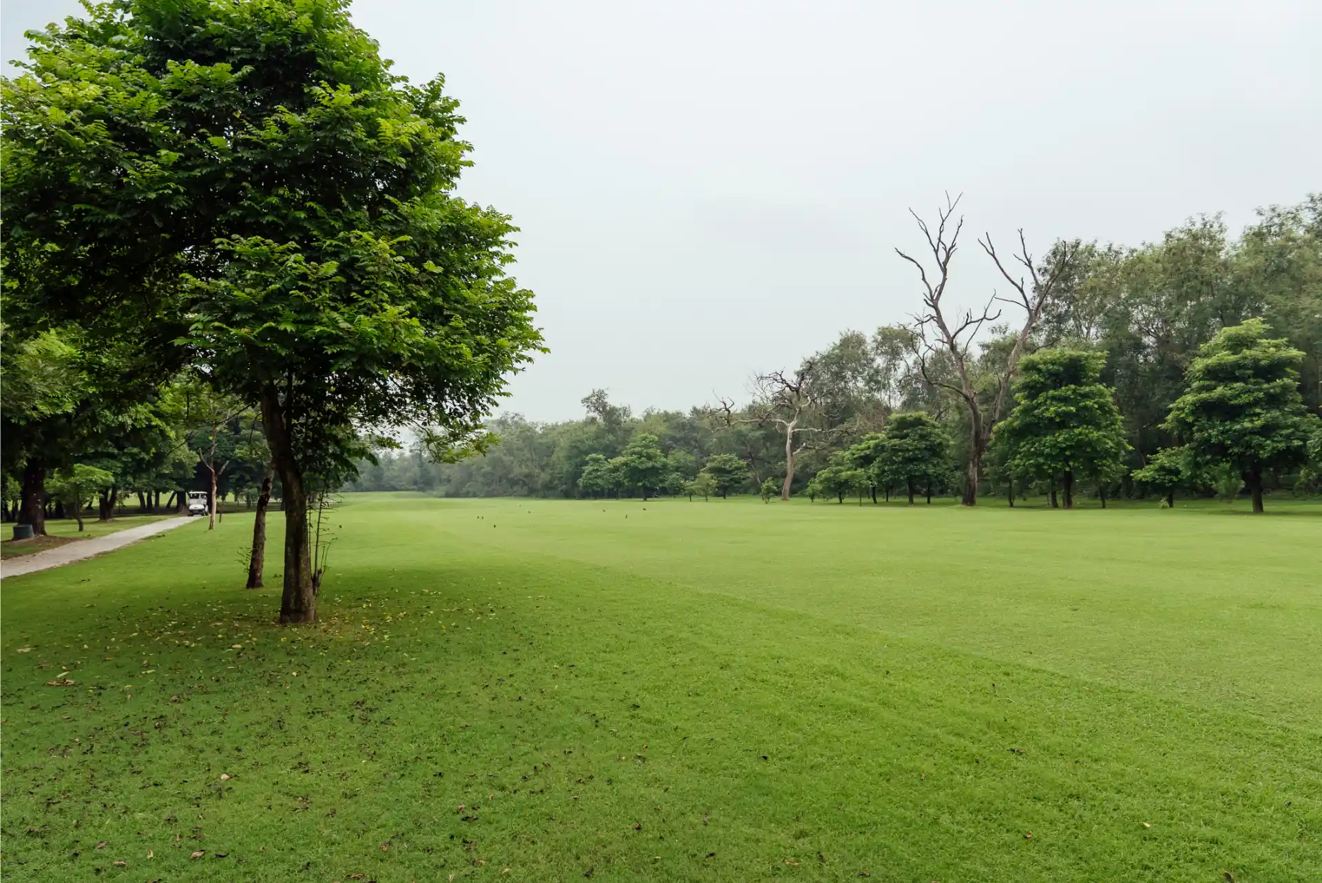 Hole 13
