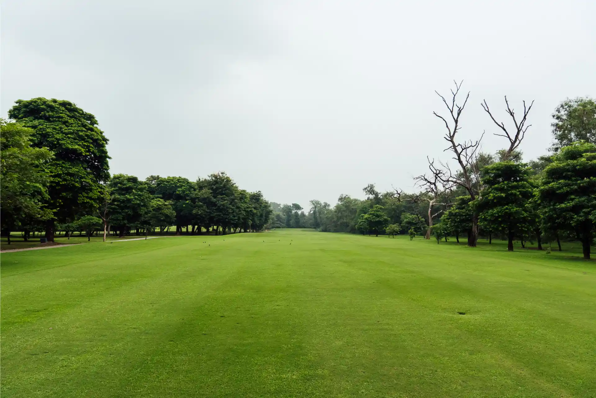 Hole 13