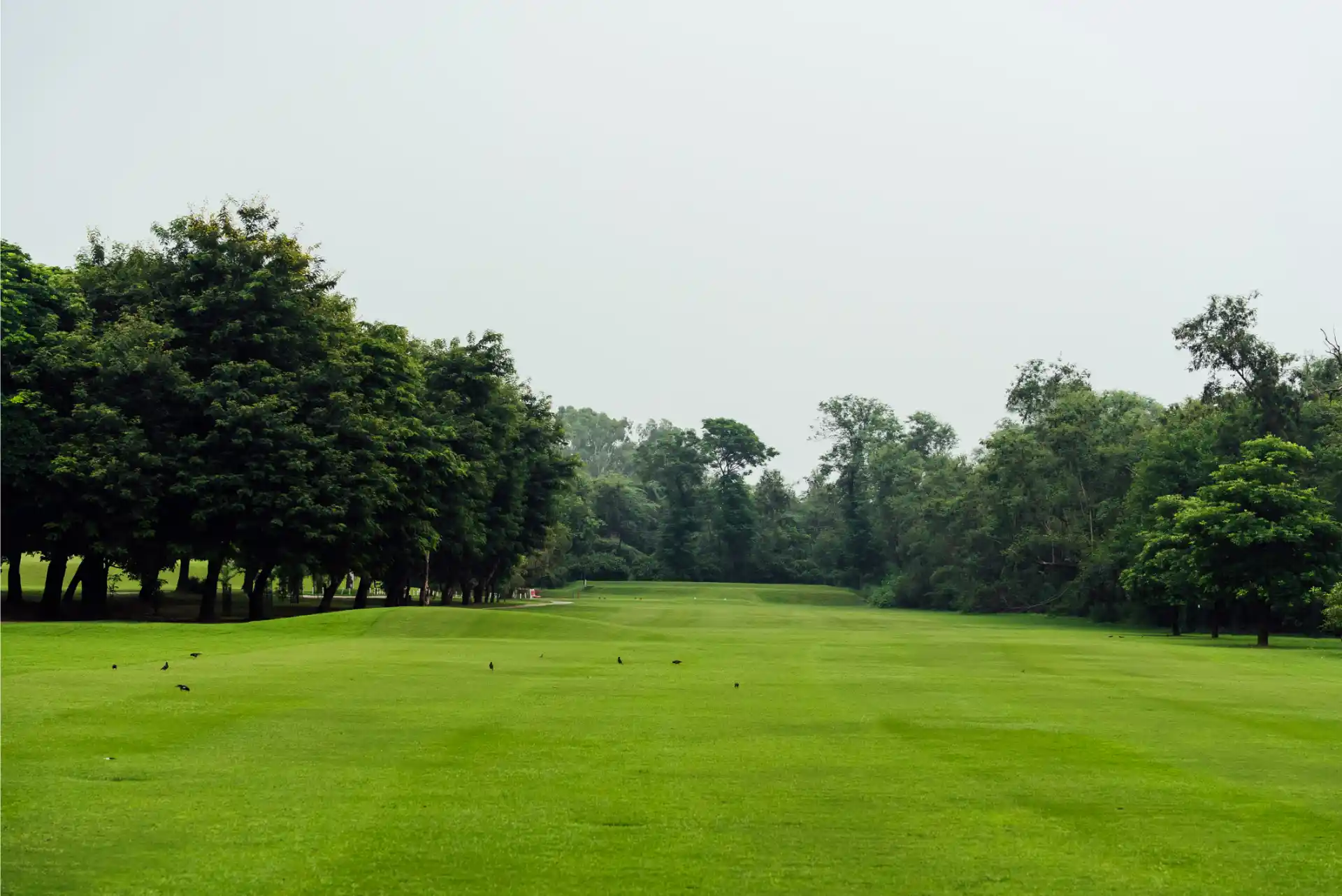 Hole 13