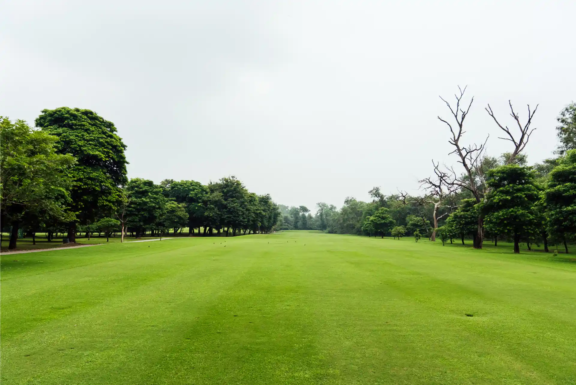 Hole 13
