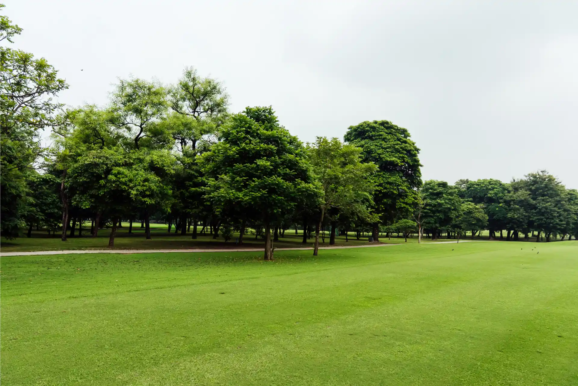 Hole 13