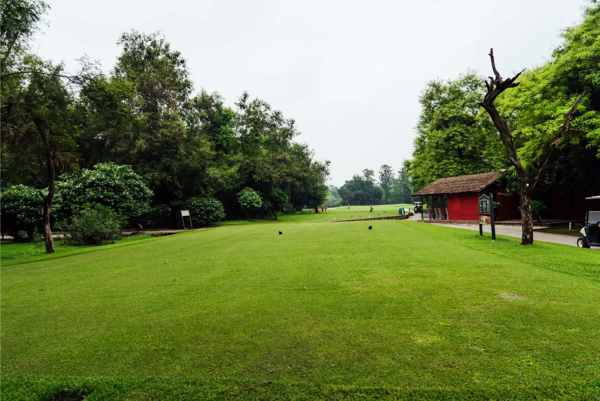 Hole 14