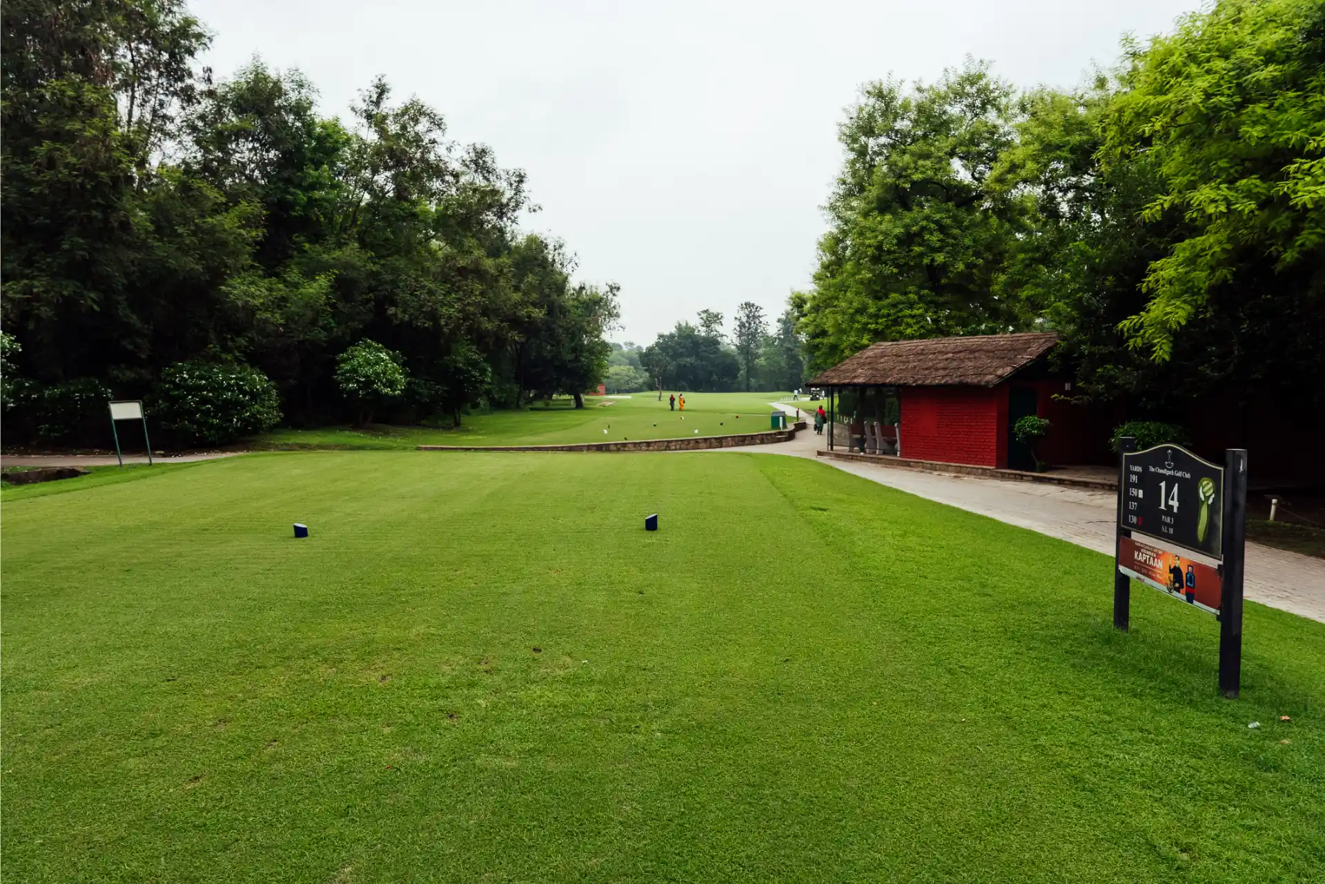Hole 14
