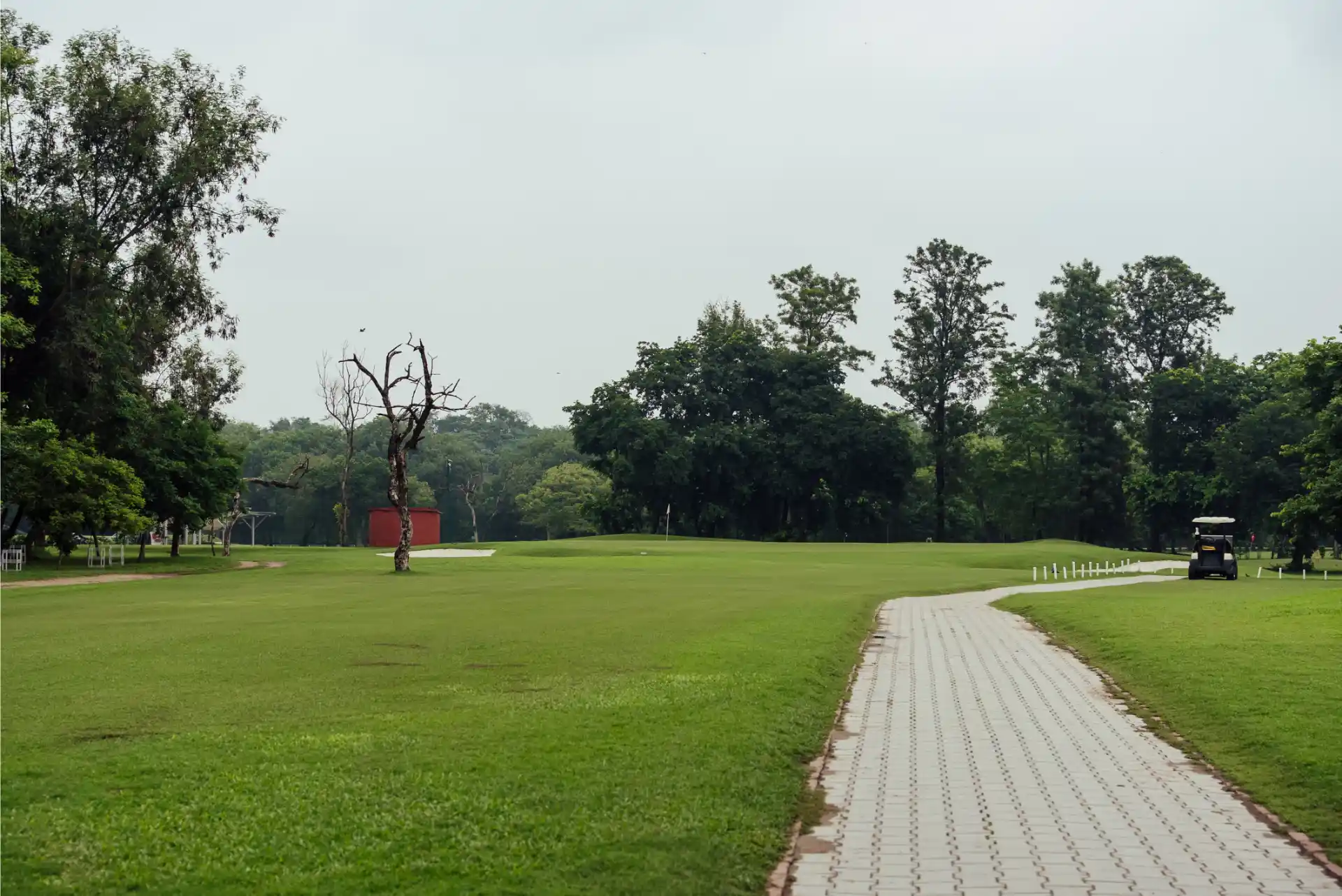Hole 14