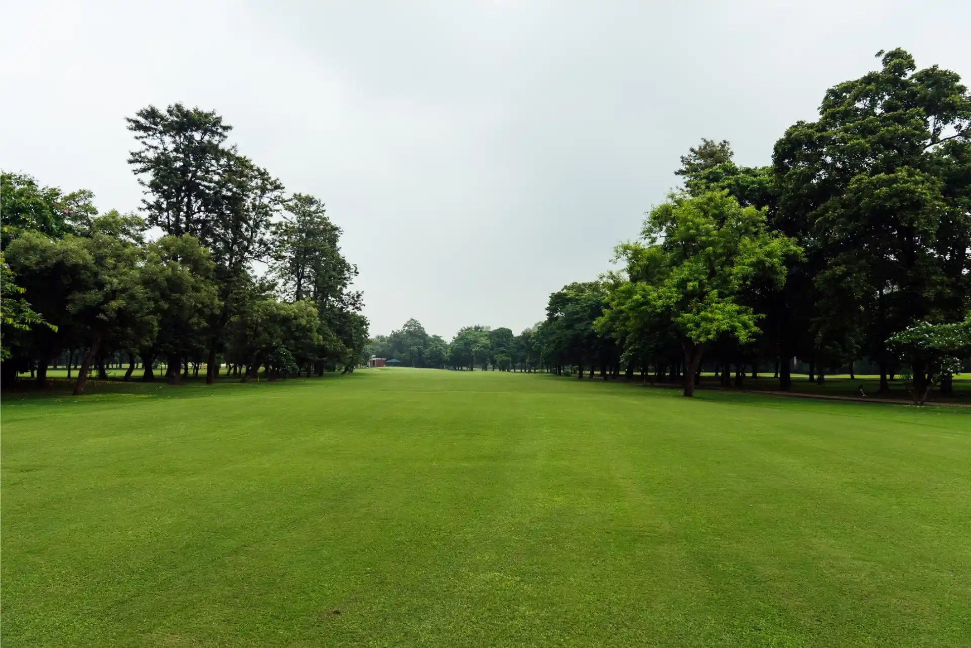 Hole 15