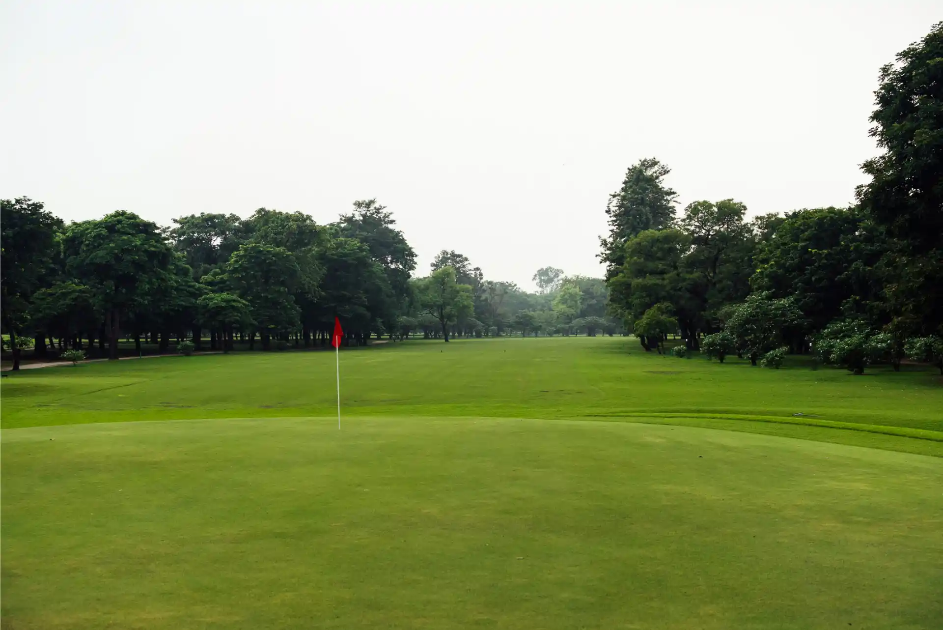Hole 15