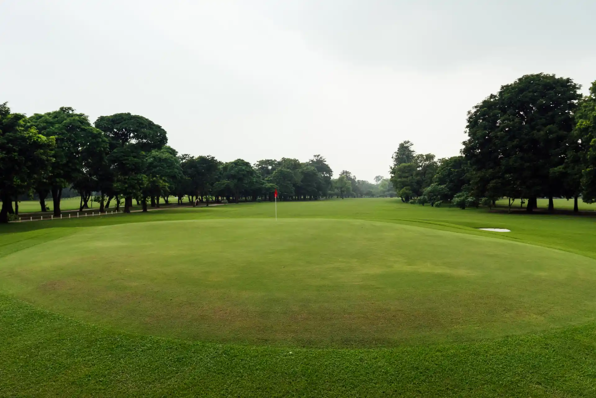 Hole 15