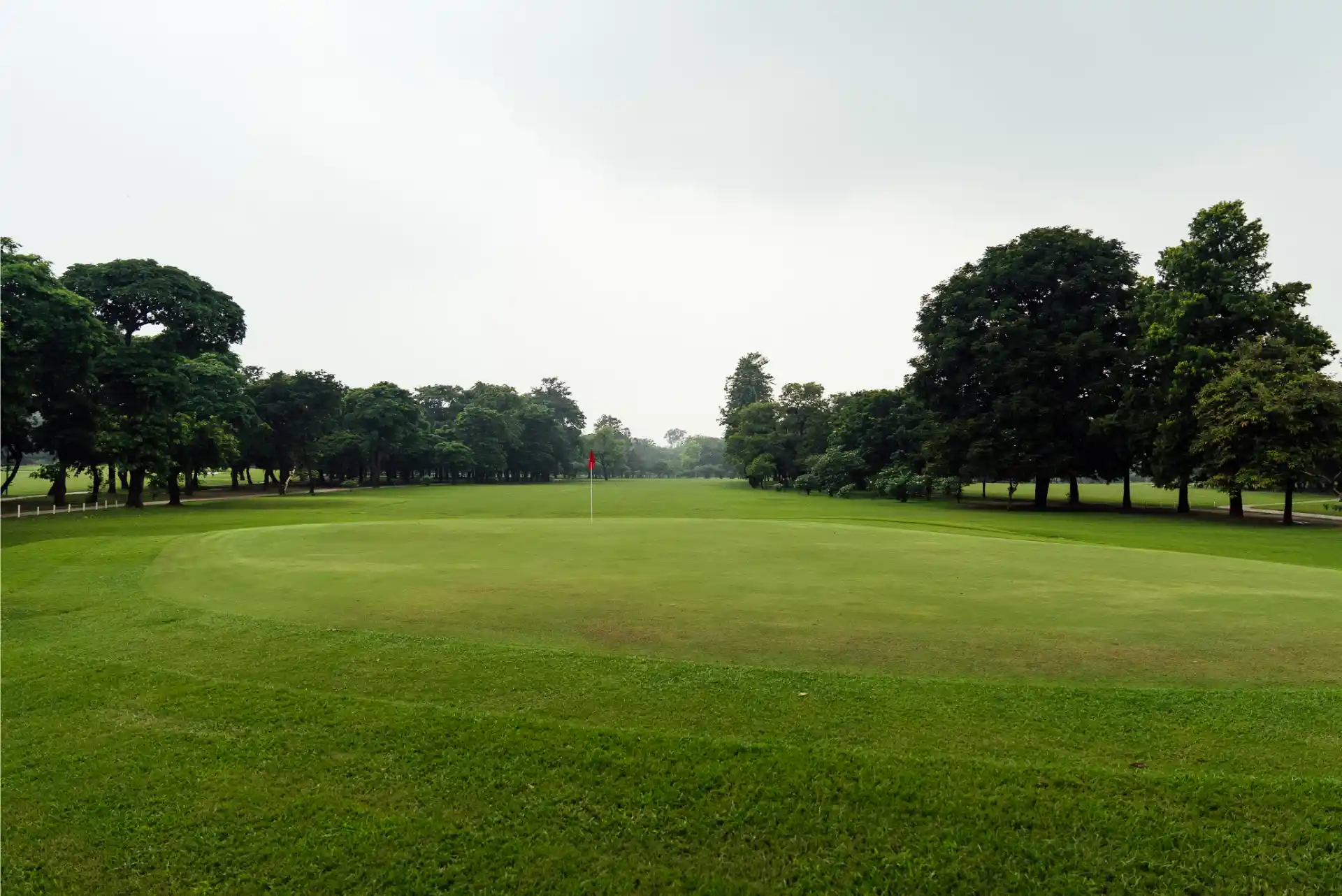 Hole 15