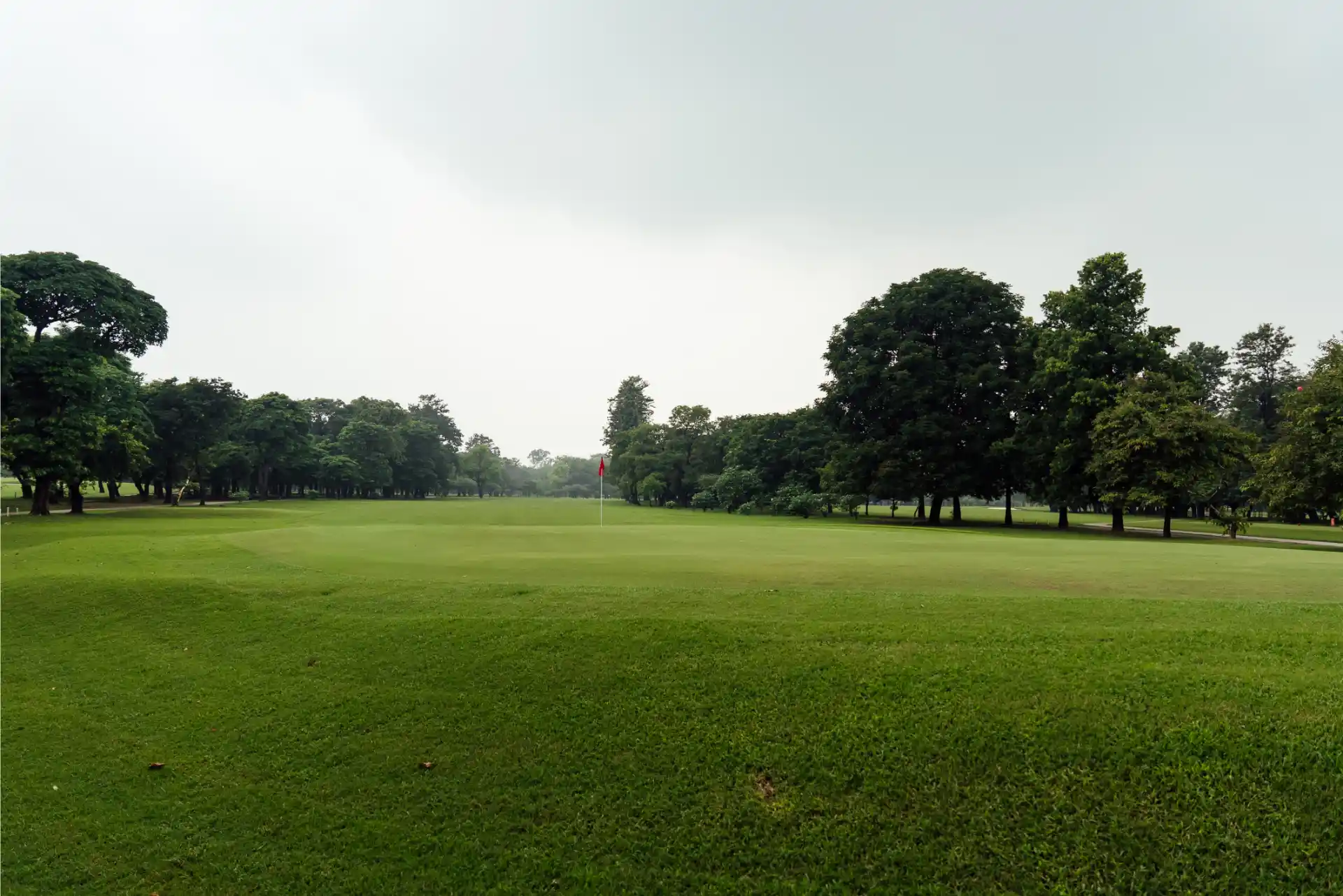 Hole 15