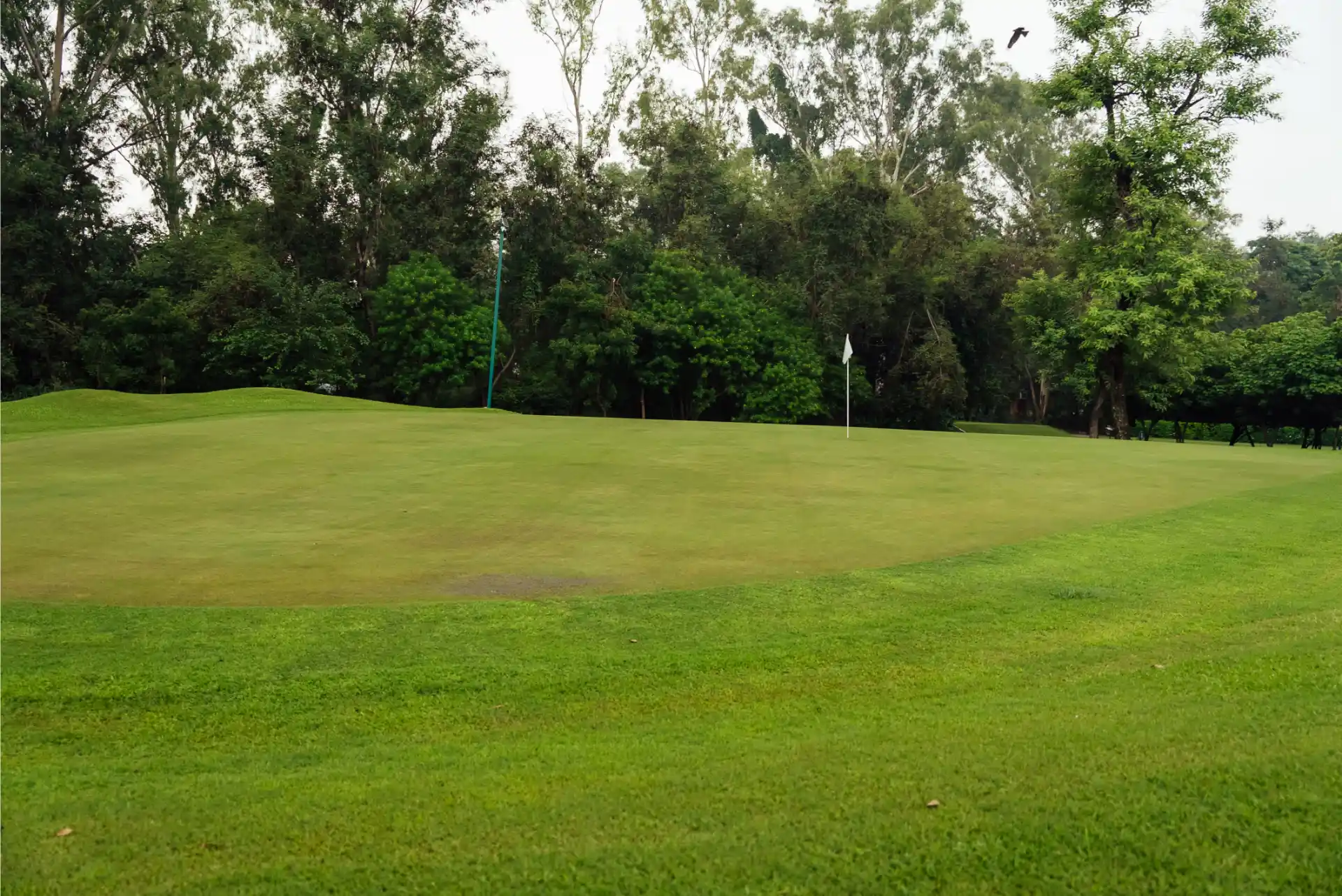 Hole 16