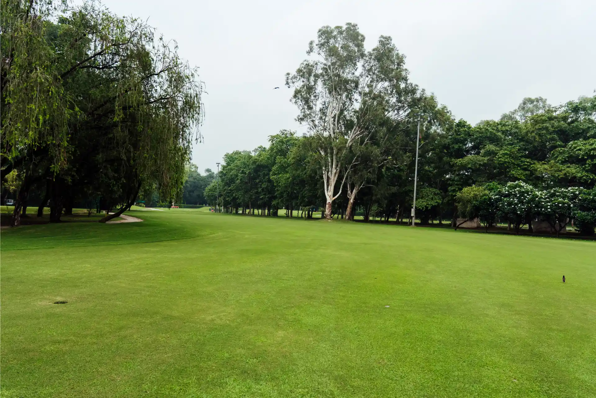 Hole 17