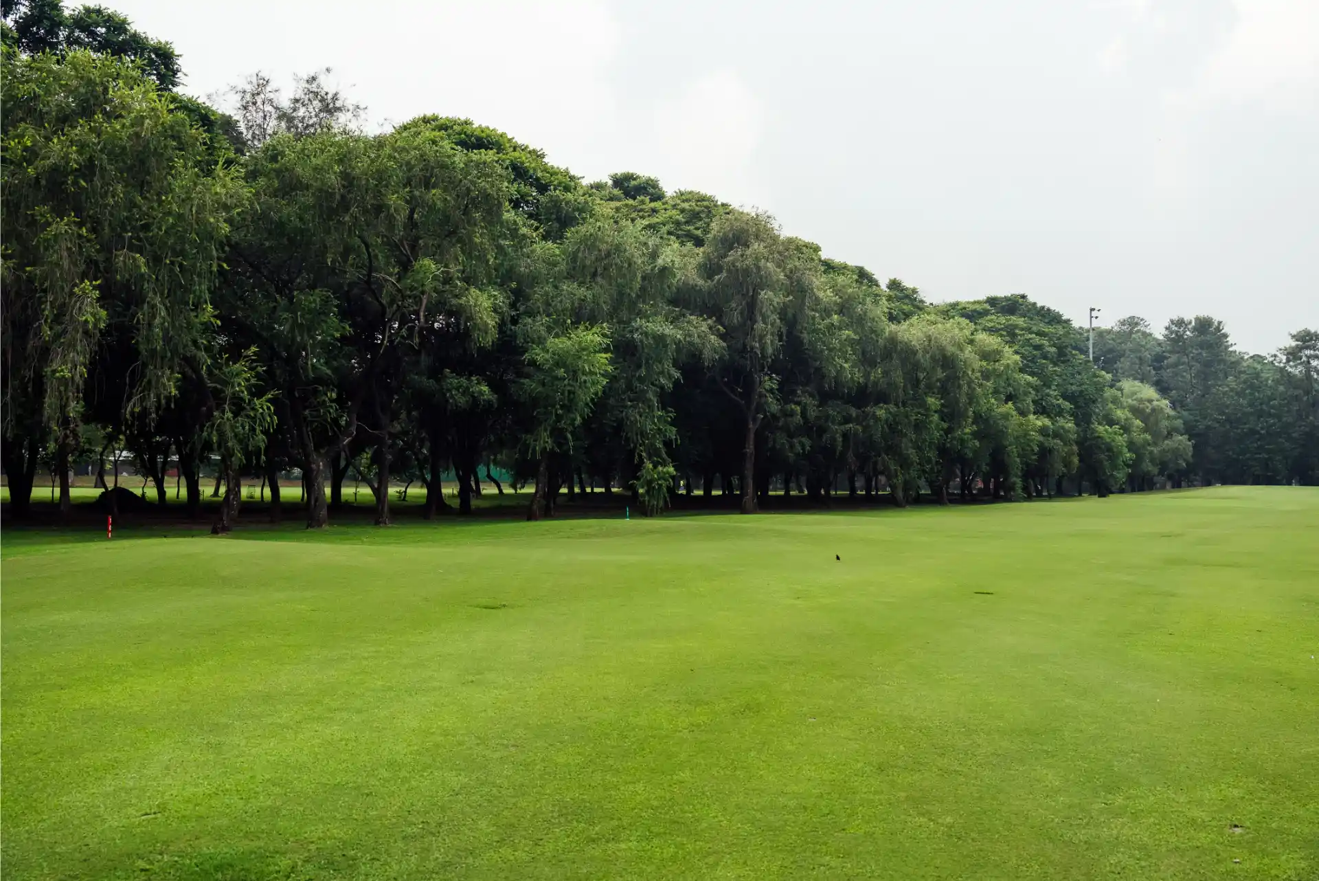 Hole 17