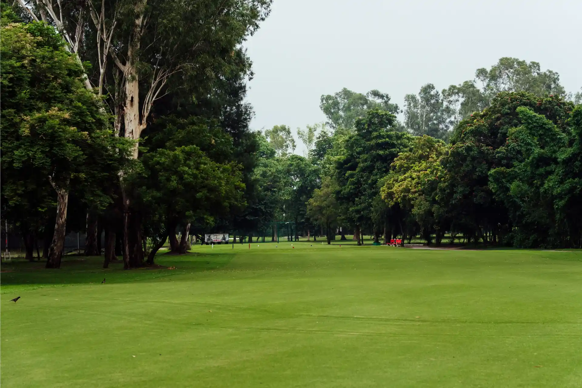 Hole 18