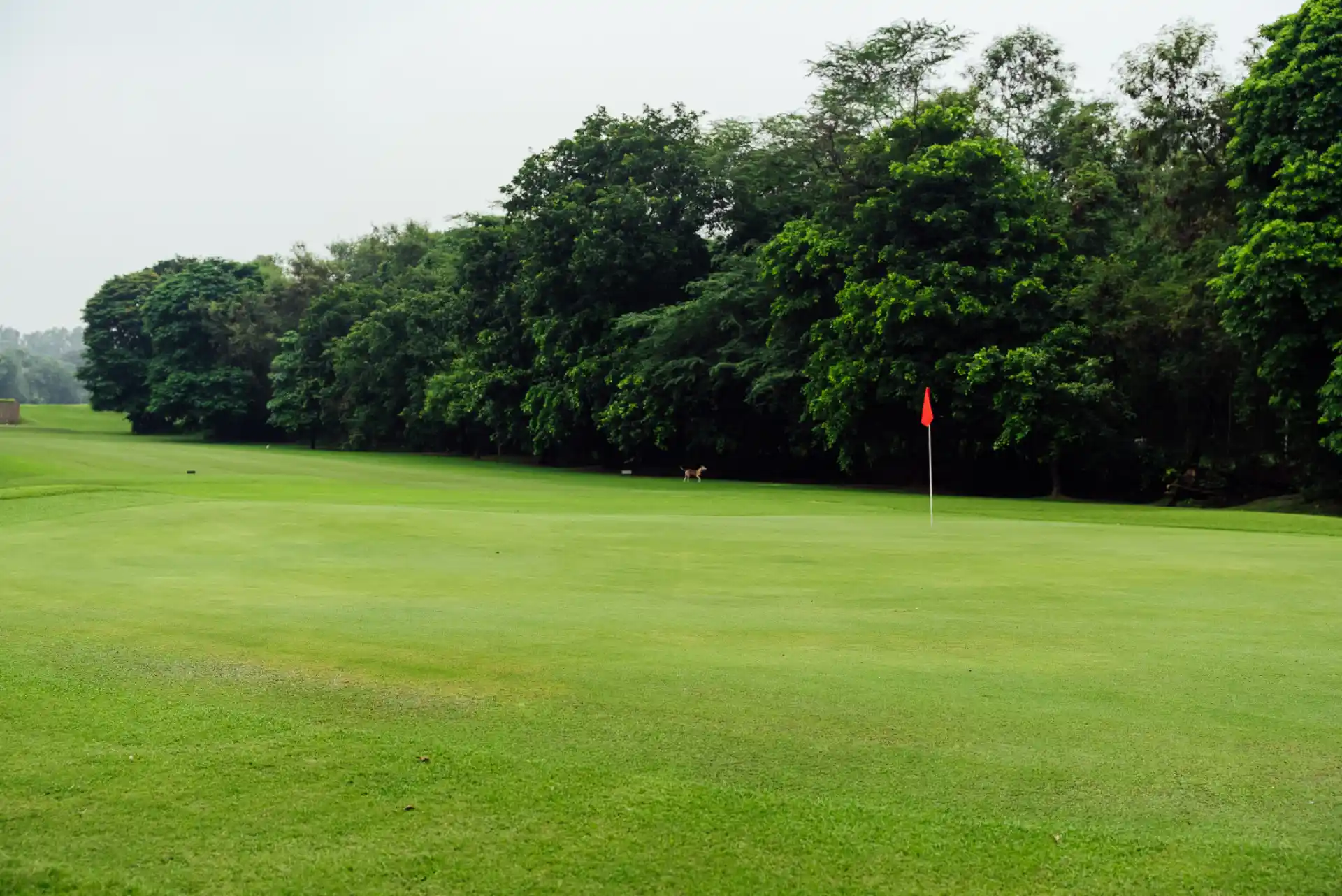 Hole 3