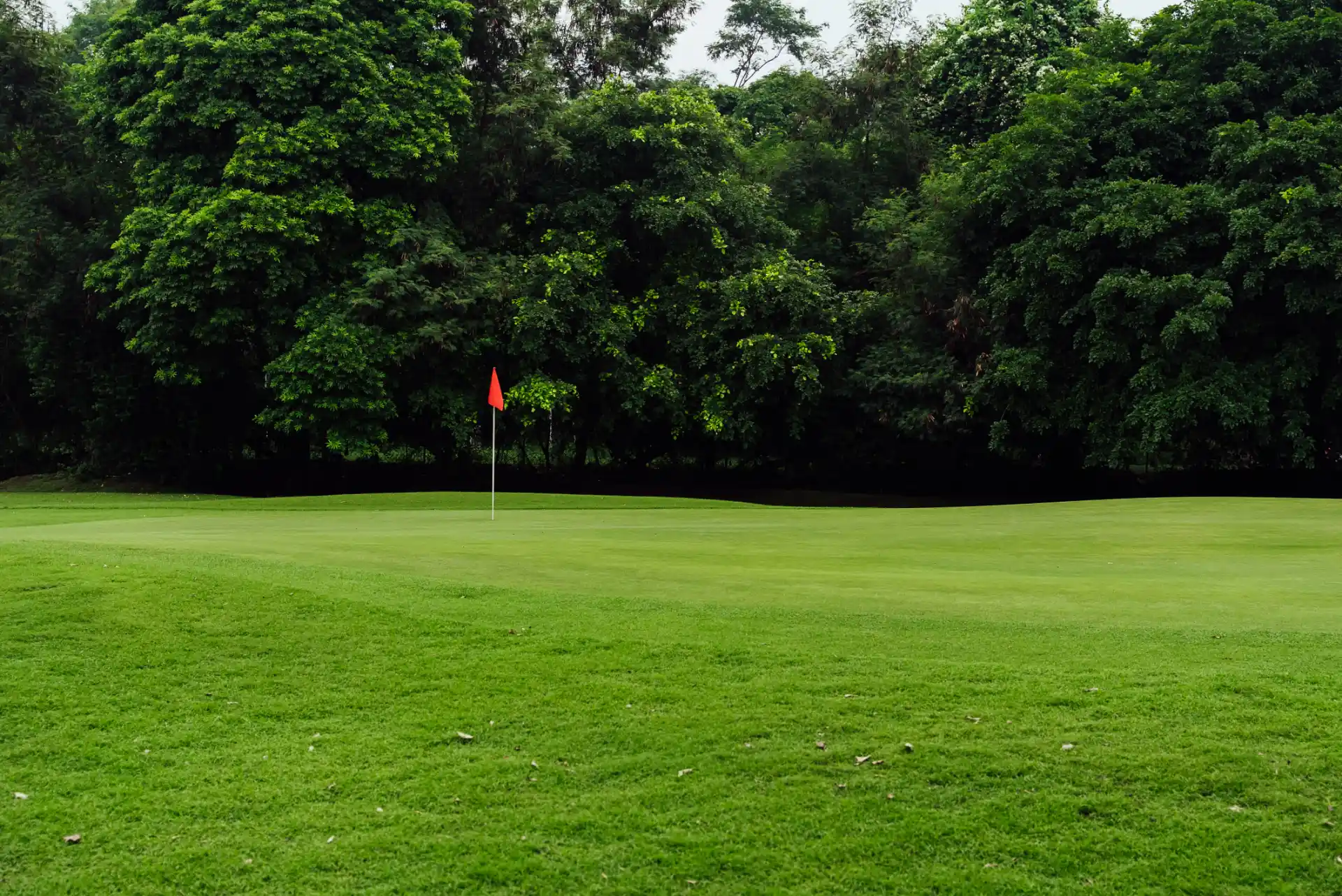 Hole 3