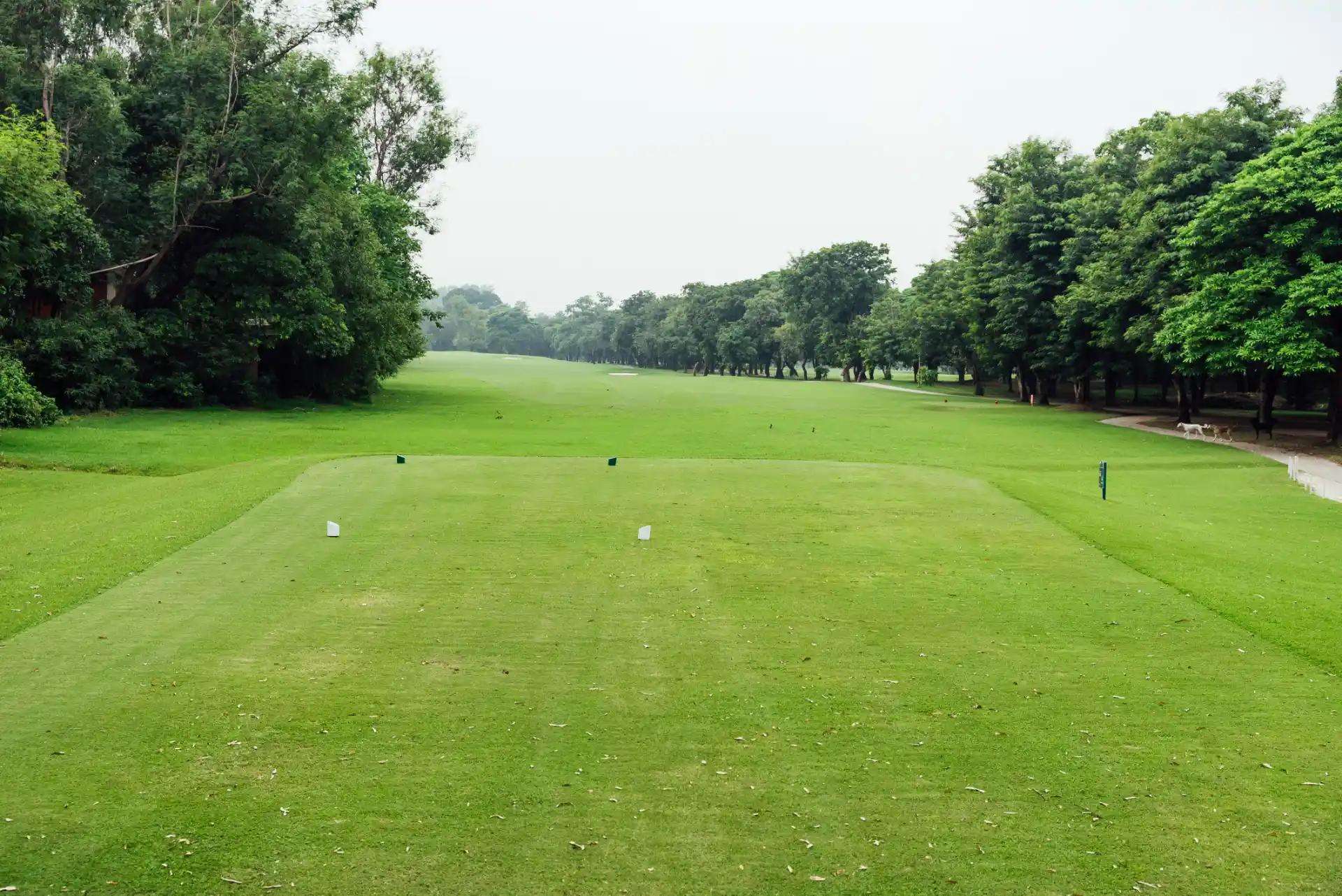 Hole 4