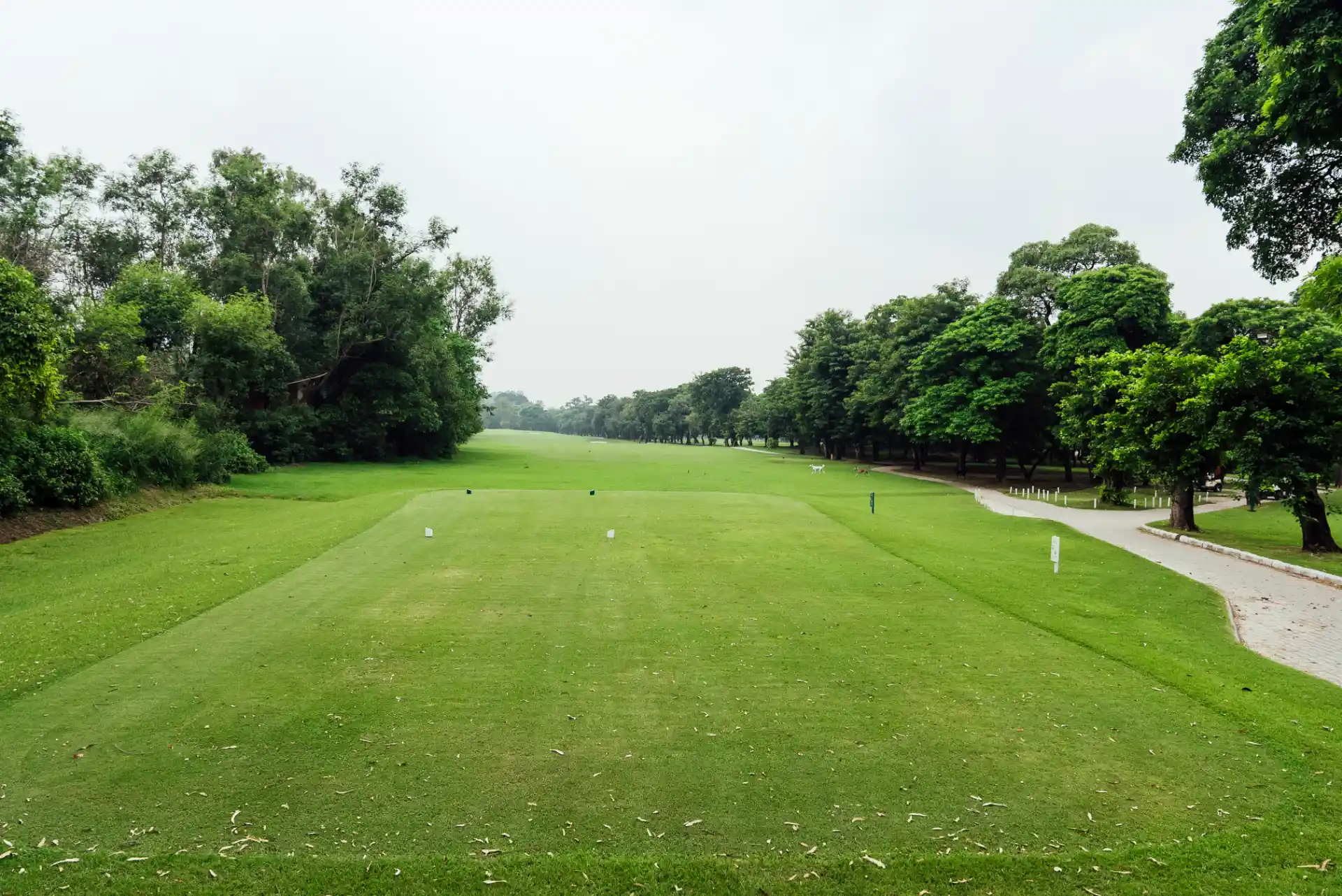 Hole 4