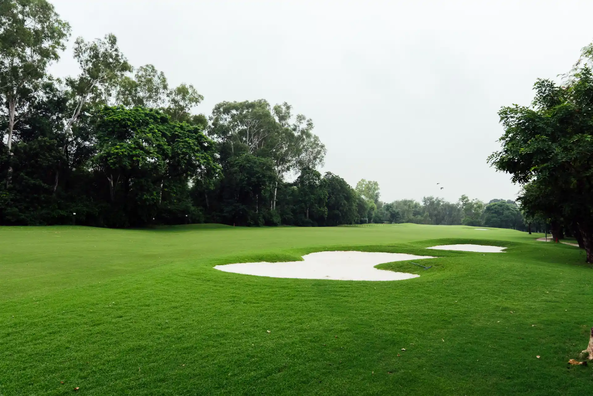 Hole 4