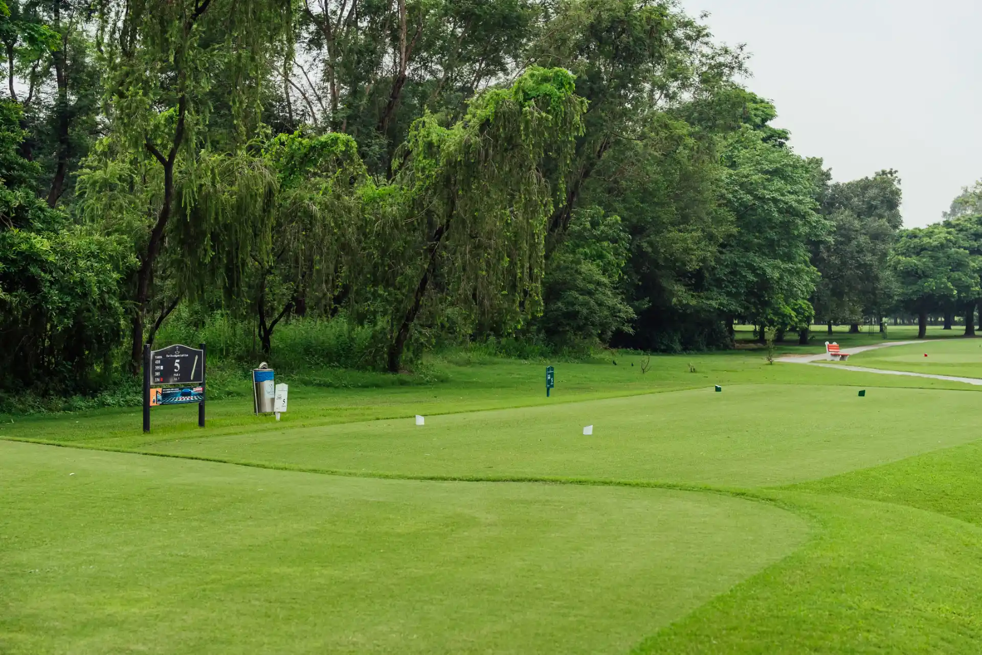 Hole 5