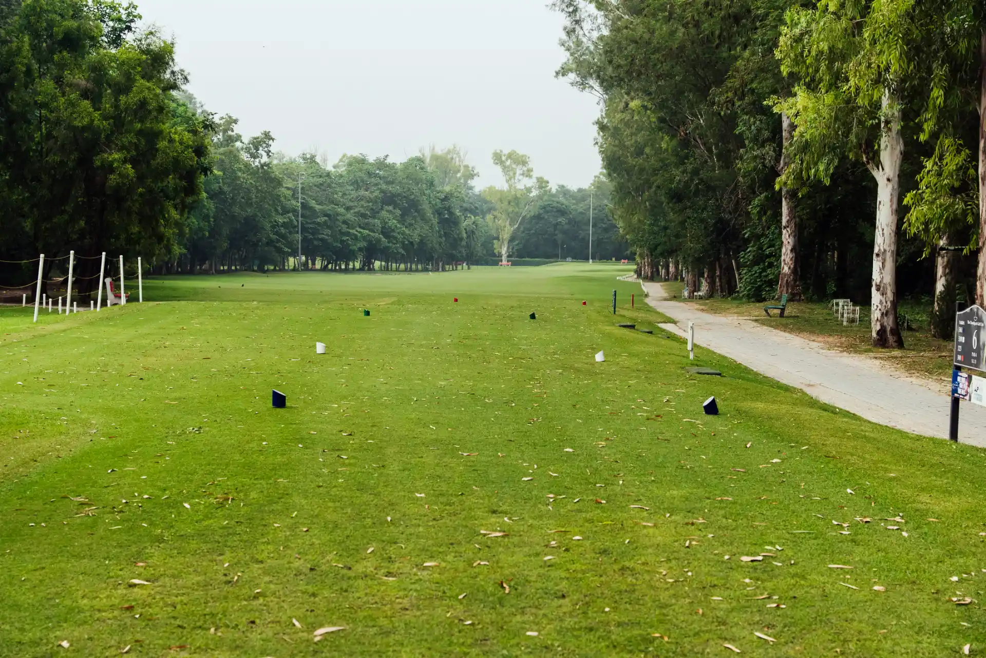 Hole 6