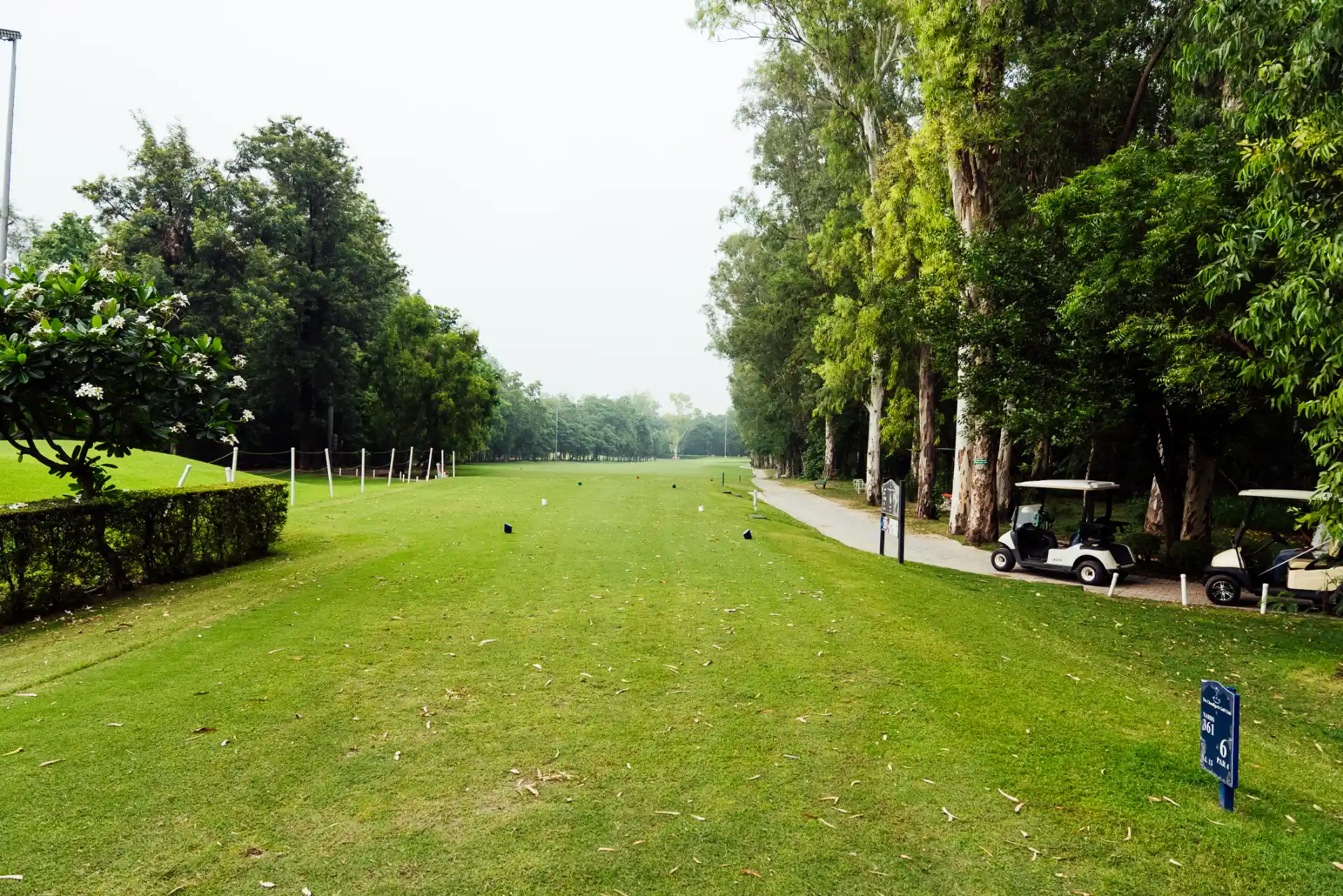 Hole 6
