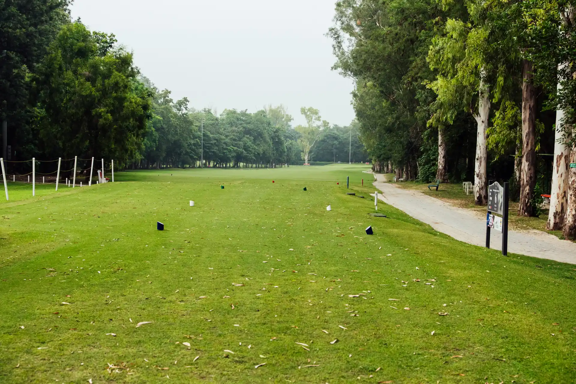Hole 6