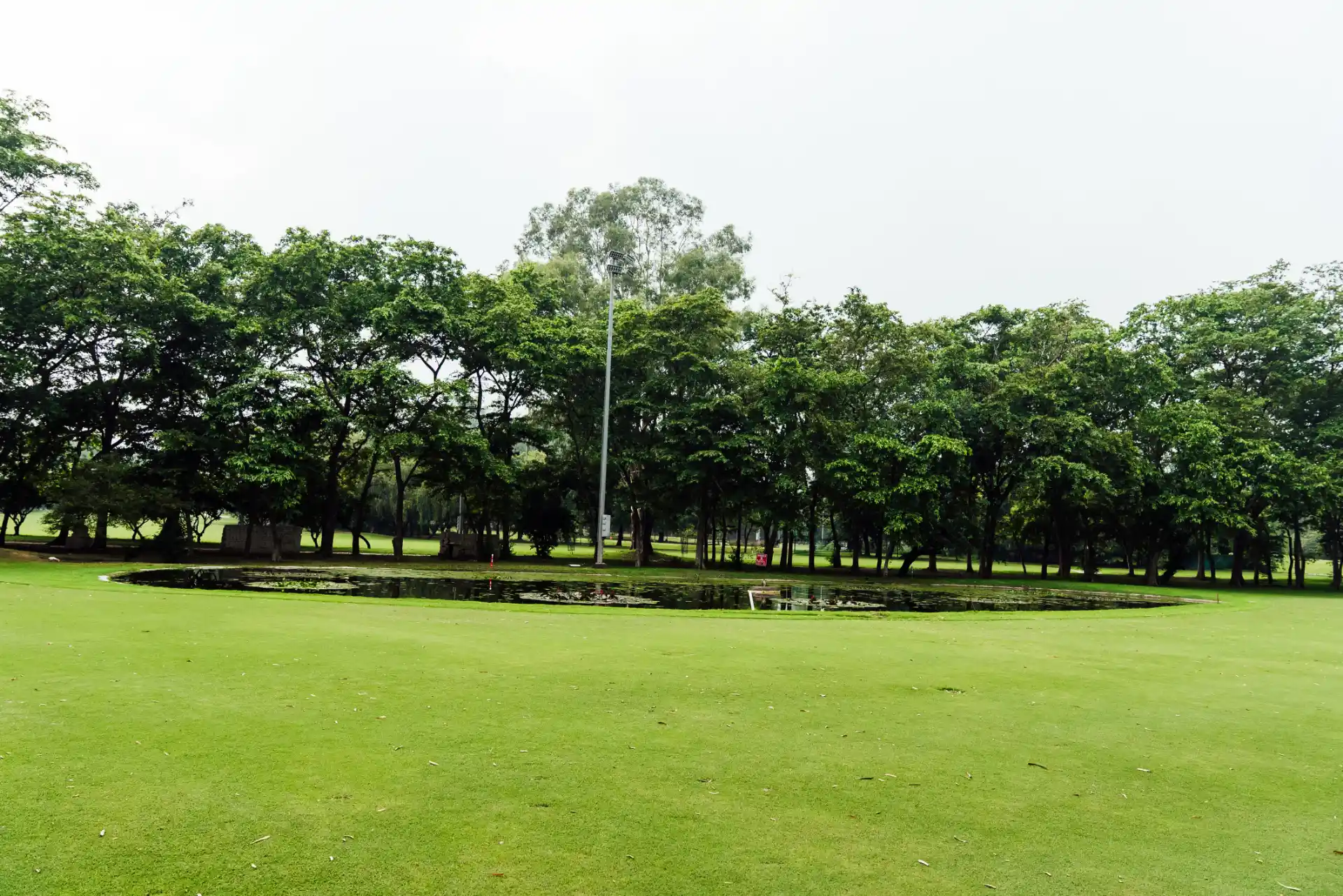 Hole 6