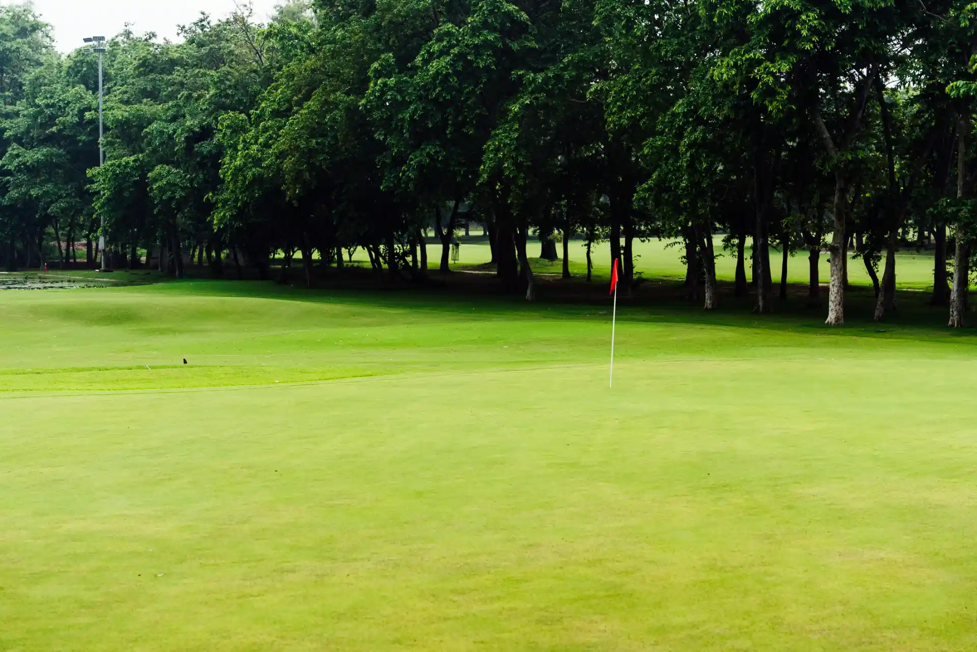 Hole 6