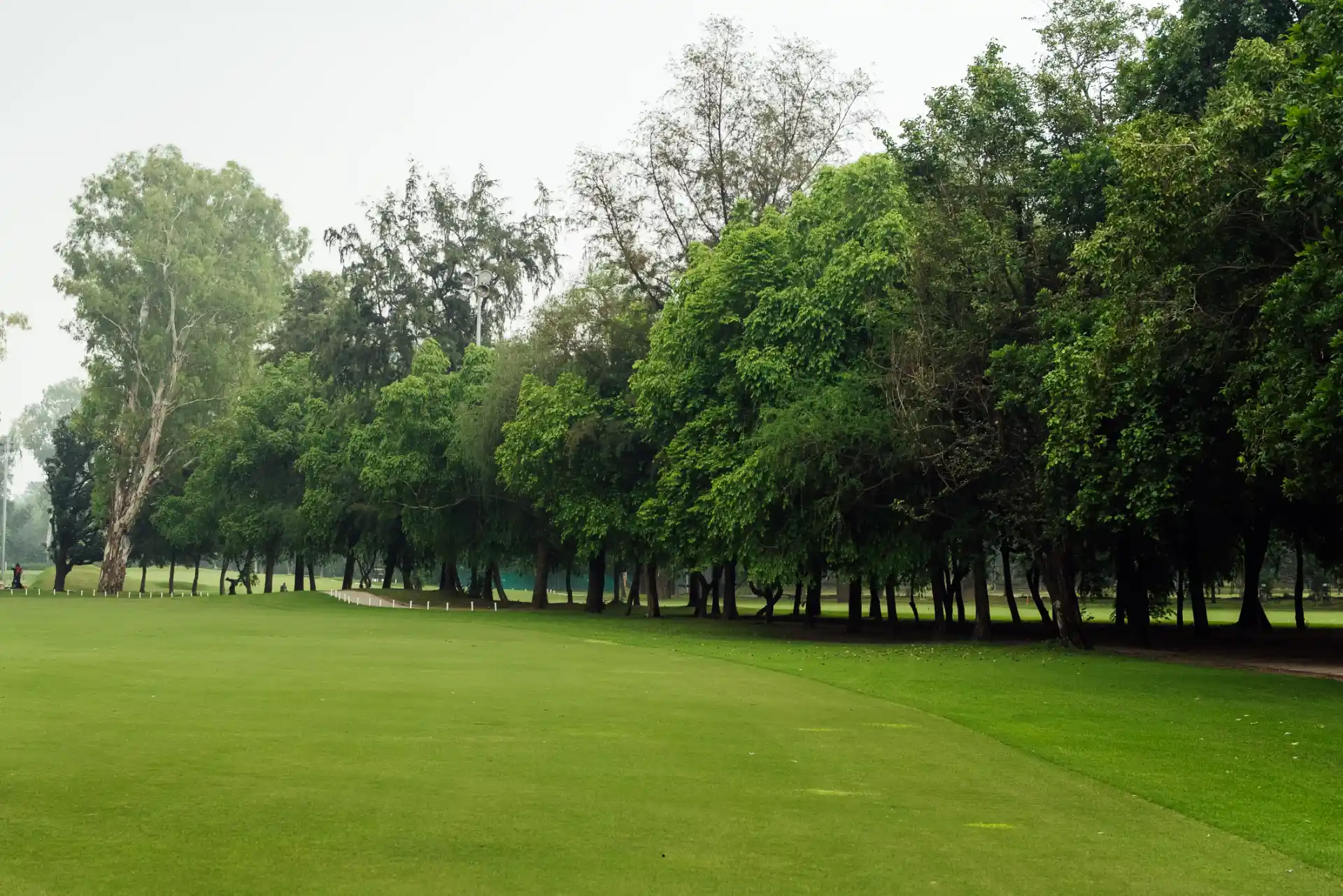 Hole 7