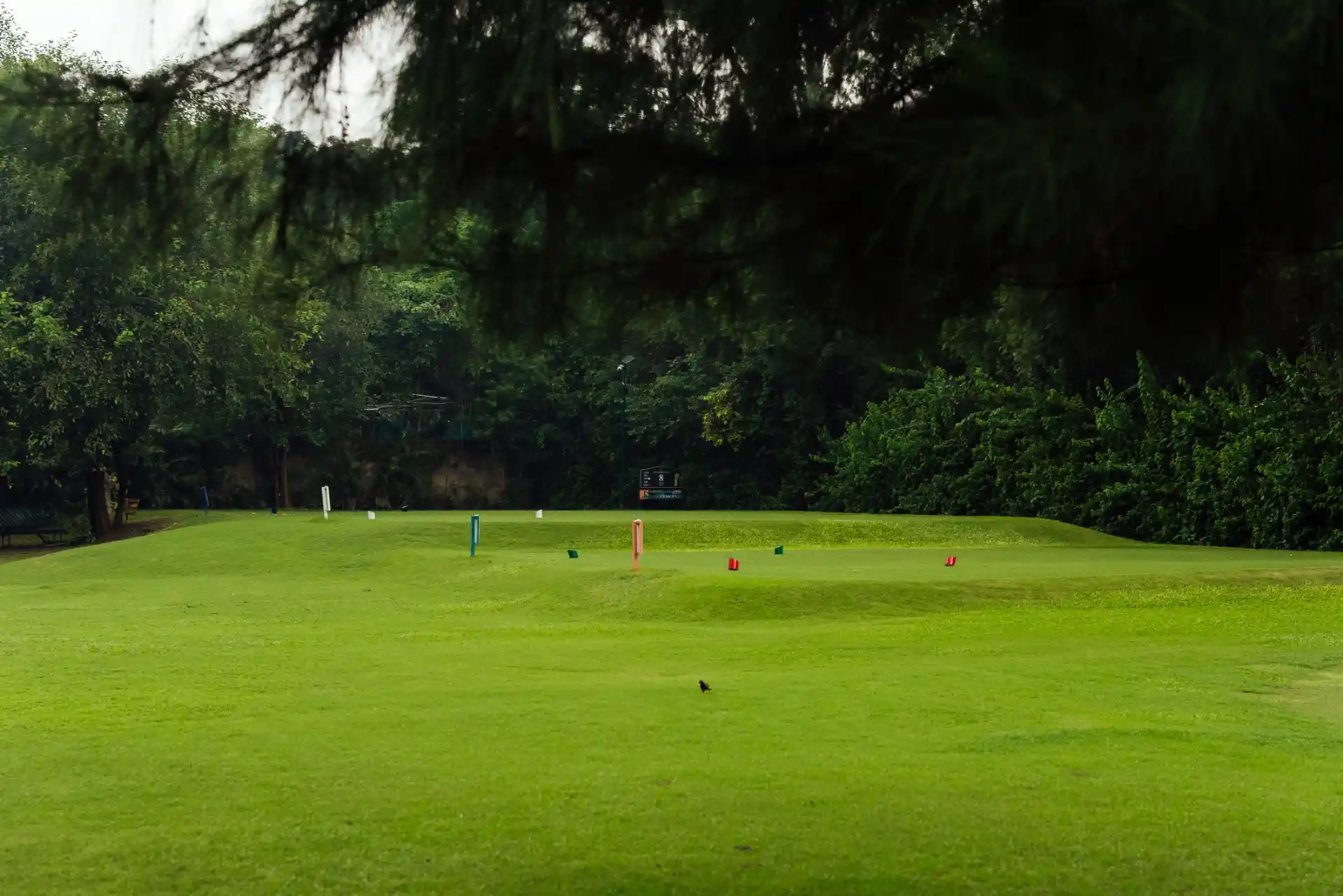 Hole 8