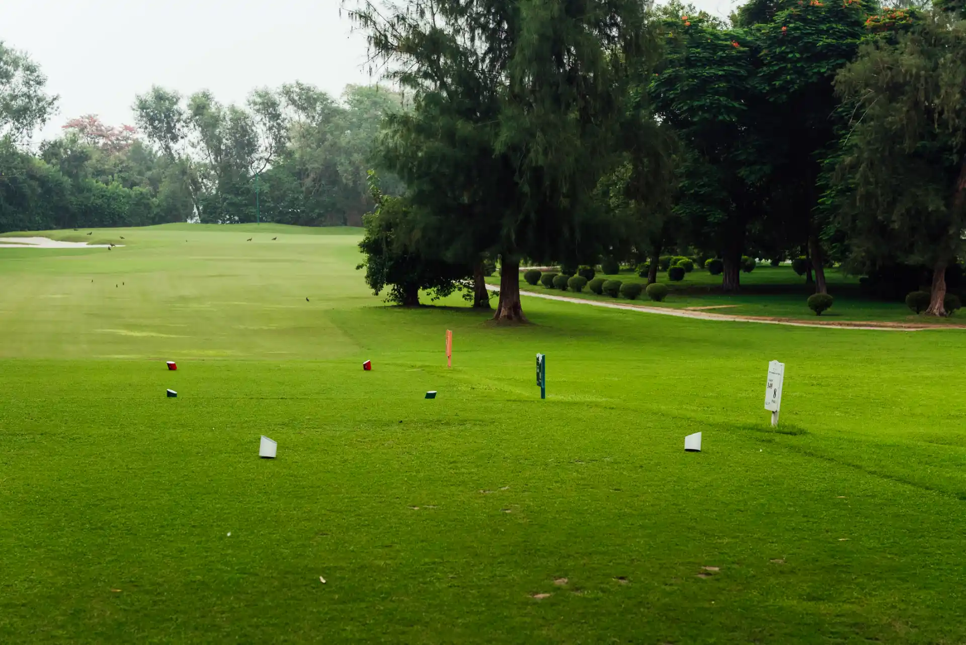 Hole 8