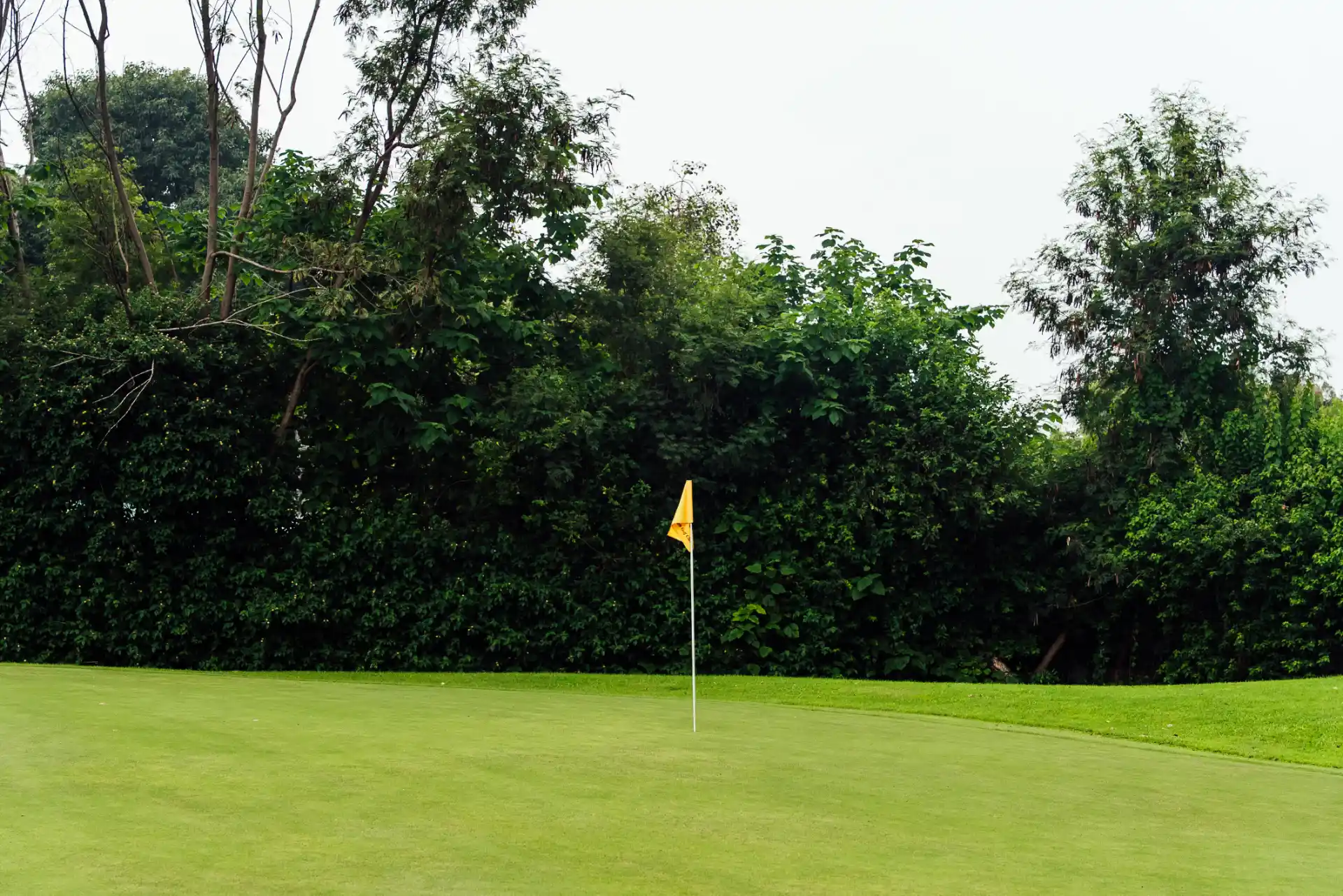 Hole 8