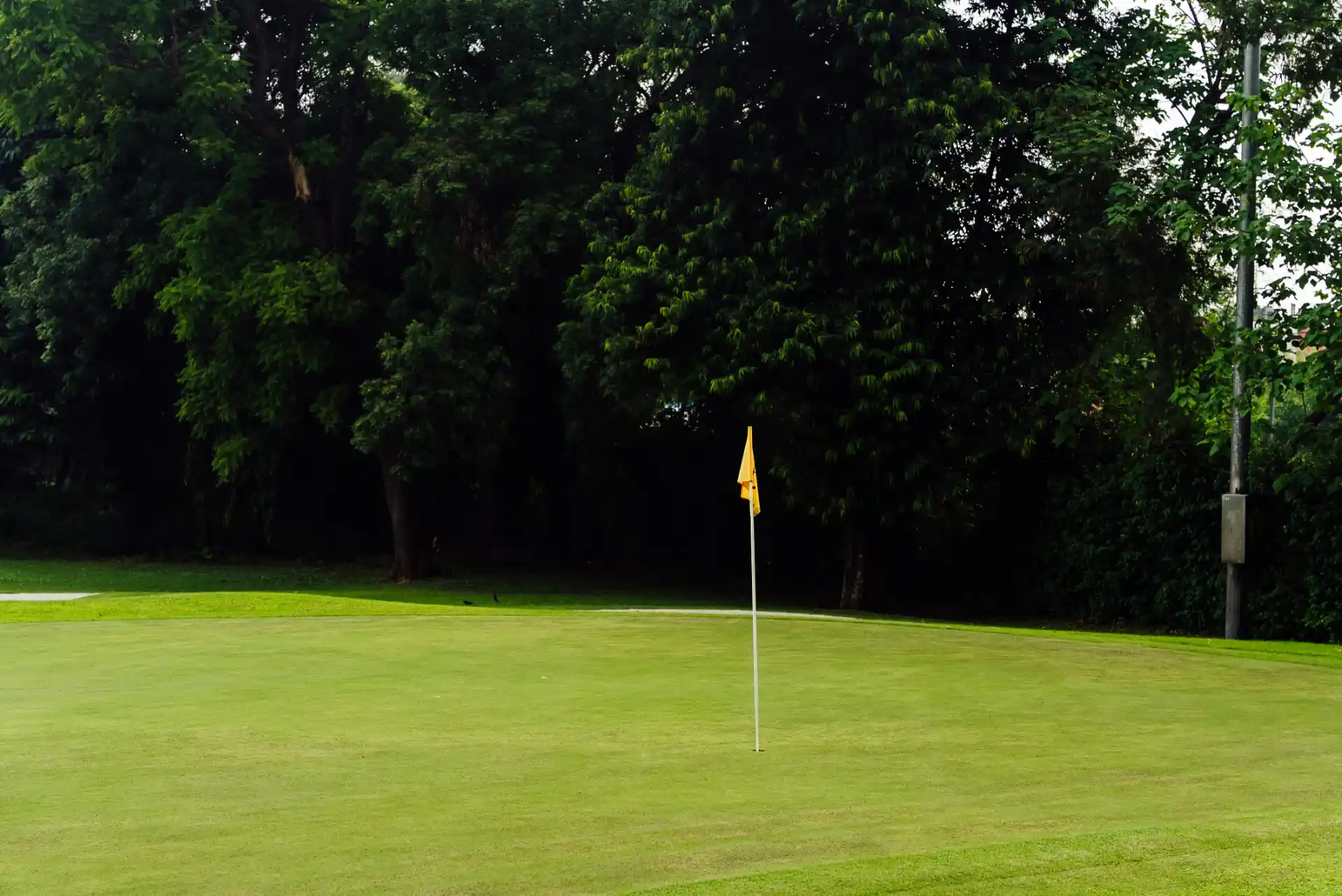 Hole 8