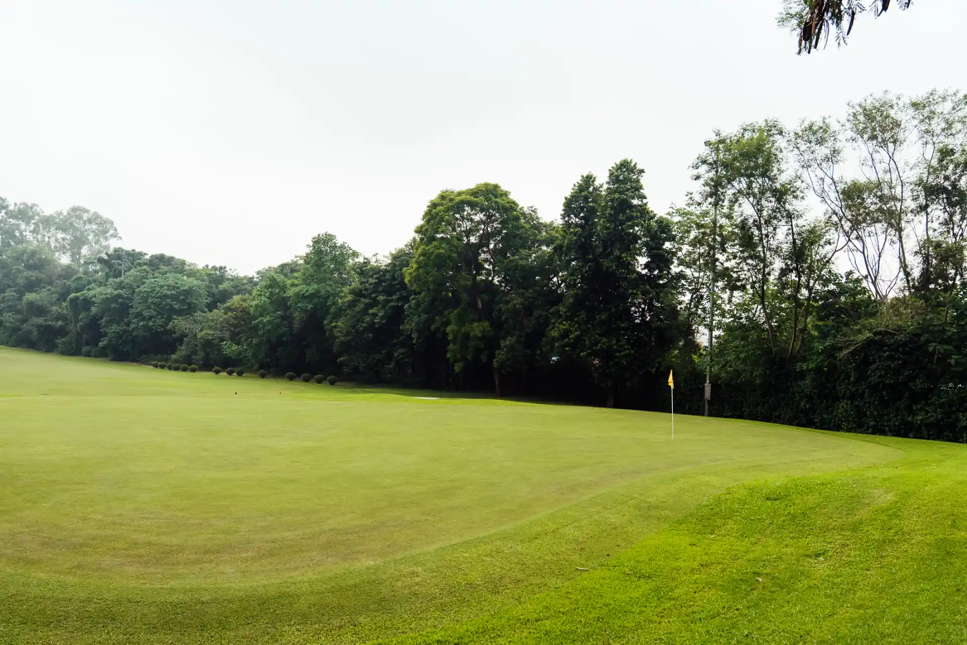 Hole 8